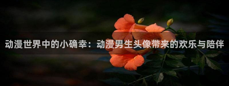 里番动漫视频