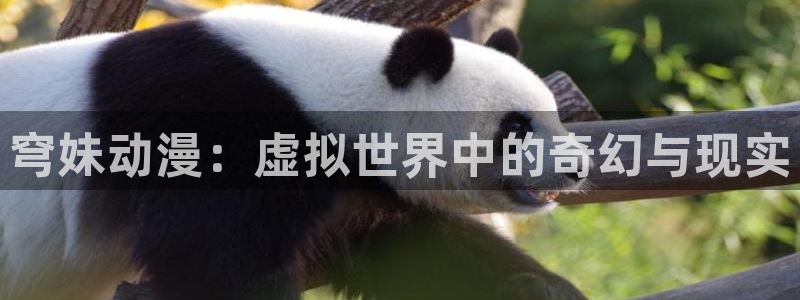 里番动漫免费