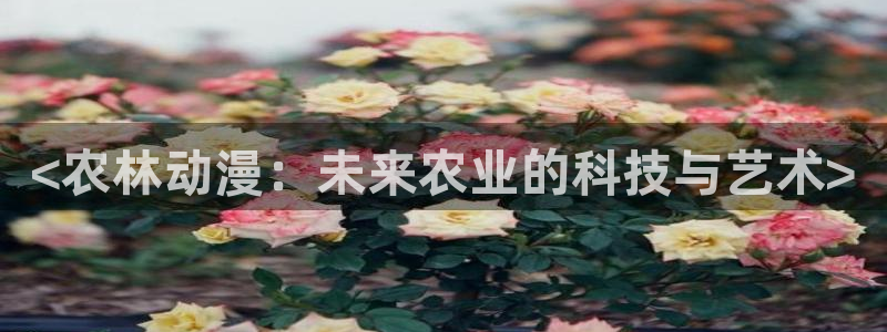 2025年里番动漫