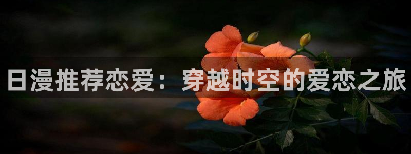 里番动漫频道