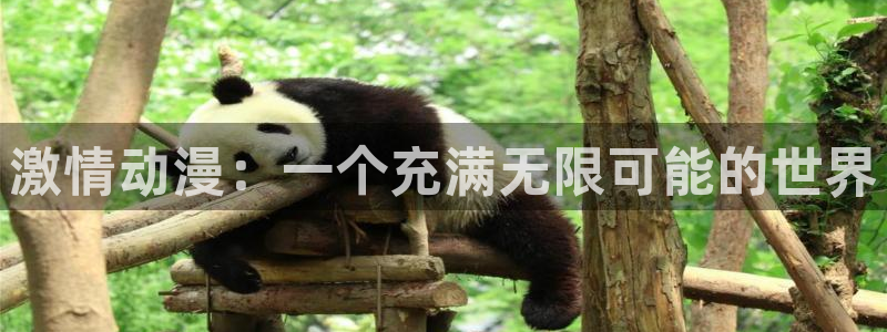 涩里番免费漫画：激情动漫：一个充满无限可能的世界