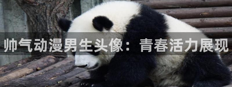 触手动漫里番