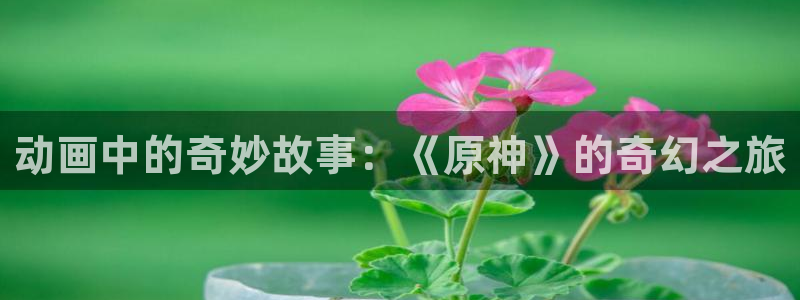 里番动漫免费在线：动画中的奇妙故事：《原神》的奇幻之旅