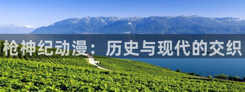 里番动漫在哪里看：枪神纪动漫：历史与现代的交织