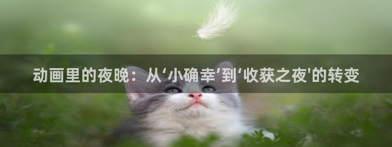 里番3d动漫在线观看：动画里的夜晚：从‘小确幸’到‘收获之夜\'的转变