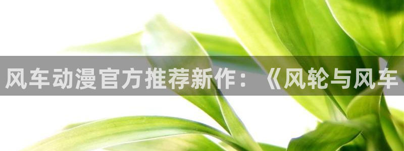 里番日本动漫：风车动漫官方推荐新作：《风轮与风车