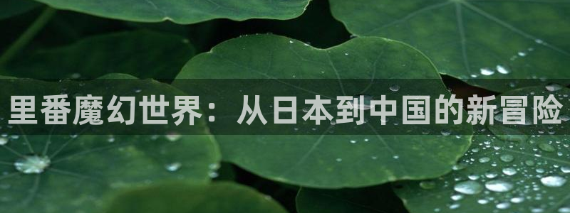 同人里番动漫