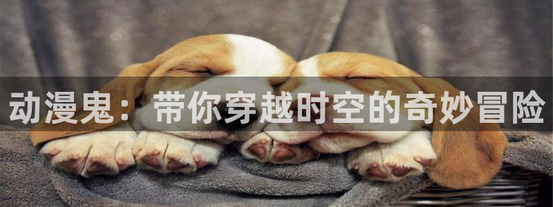 里番动漫app有哪些