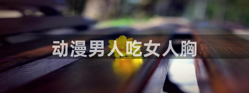 里番肉动漫