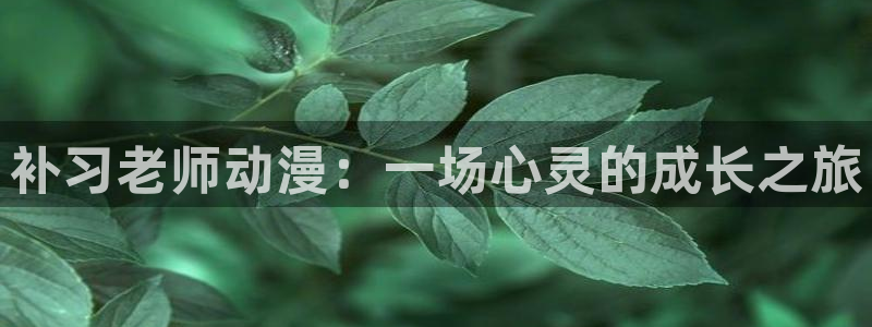 里番同人漫画大全