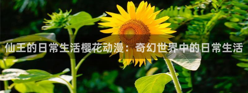 涩里番动漫网站