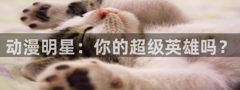 里番免费动漫