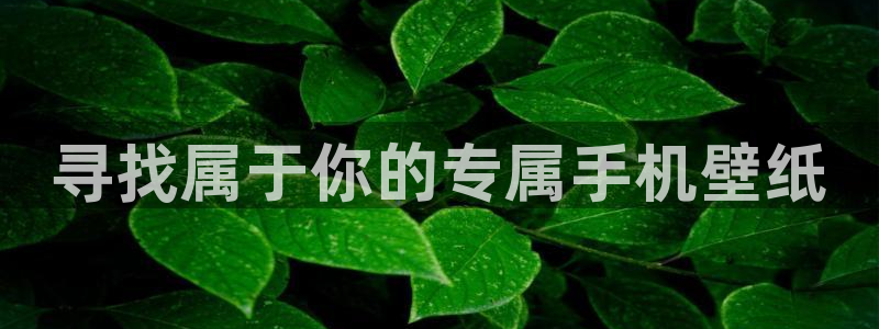 里番漫画在线免费