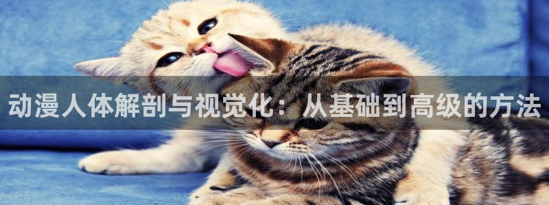 里番动漫免费网站：动漫人体解剖与视觉化：从基础到高级的方法