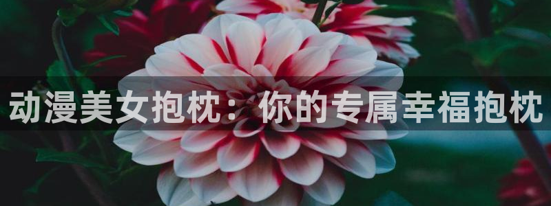 里番漫画在线免费：动漫美女抱枕：你的专属幸福抱枕