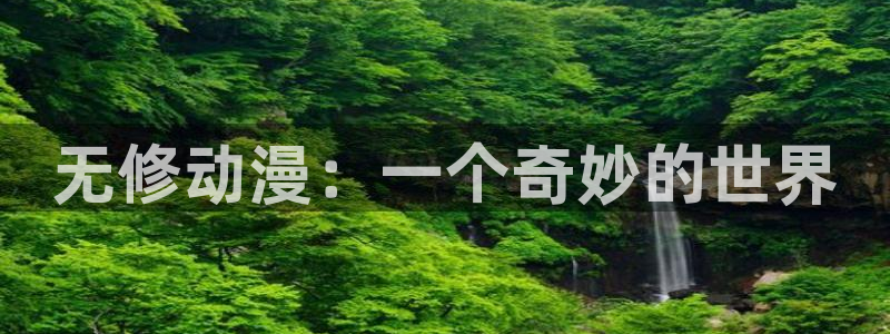 里番动漫大佬：无修动漫：一个奇妙的世界