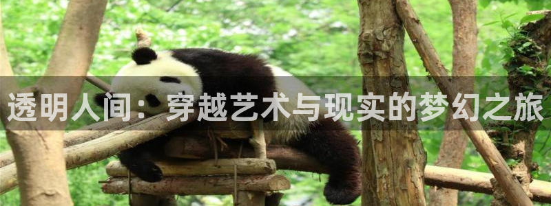 里番漫：透明人间：穿越艺术与现实的梦幻之旅
